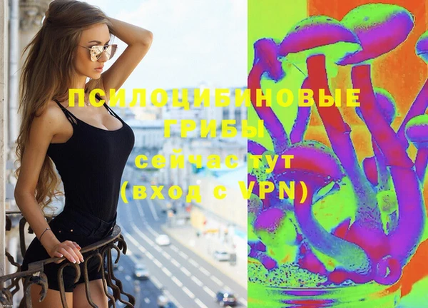 дживик Белоозёрский